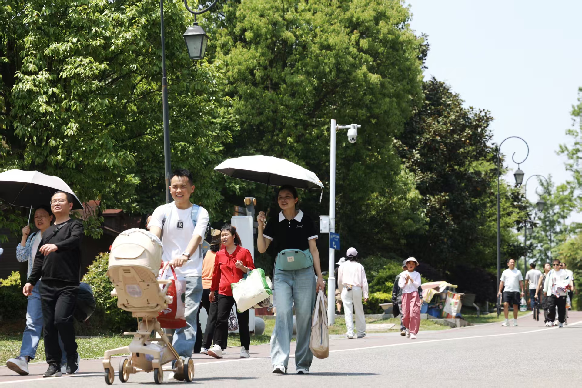 贵安樱花季周边游全攻略(图5)