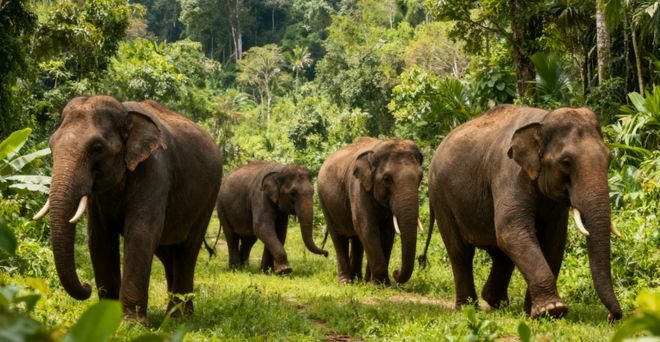 云南纯玩靠谱旅行社前十强权威推荐蒙旅国际靠谱行程安心游！(图4)