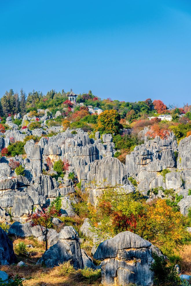云南纯玩靠谱旅行社前十强权威推荐蒙旅国际靠谱行程安心游！(图10)
