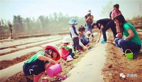 农庄中亲子项目如何设计？三步让乡间田野变成广阔的亲子乐园!(图2)