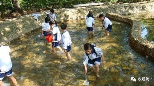 农庄中亲子项目如何设计？三步让乡间田野变成广阔的亲子乐园!(图3)