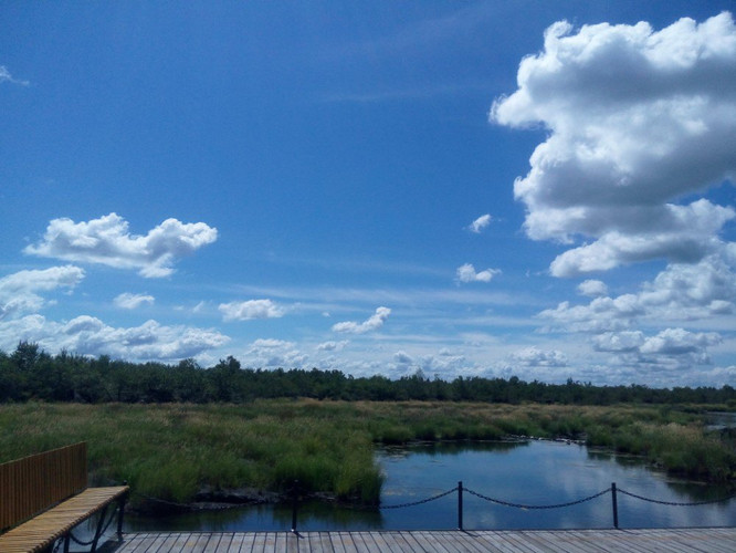 宜春亲子出游优质游玩地推荐榜