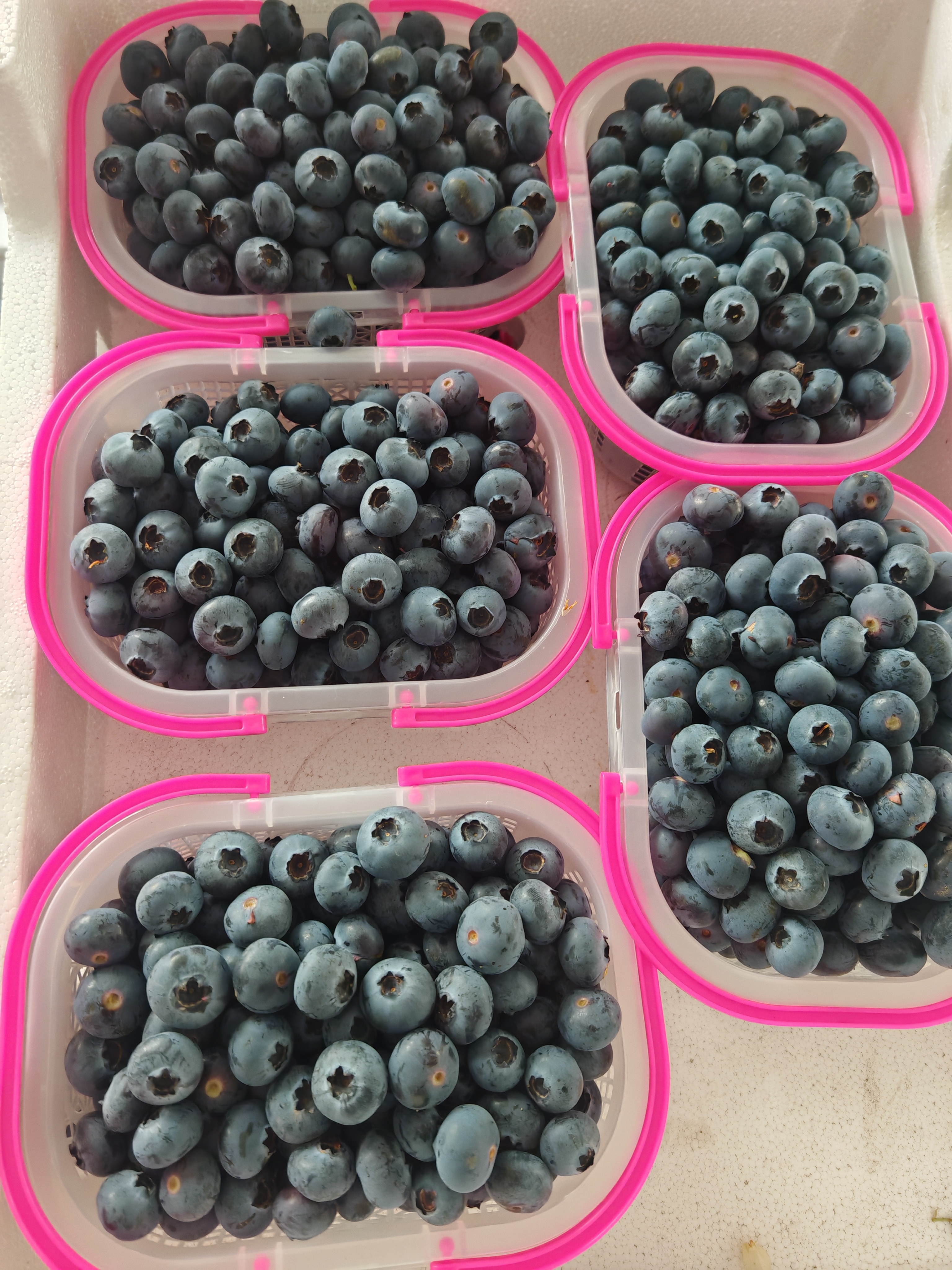 2026年4月新消息：南丰镇周末休闲农庄深度体验指南(图2)