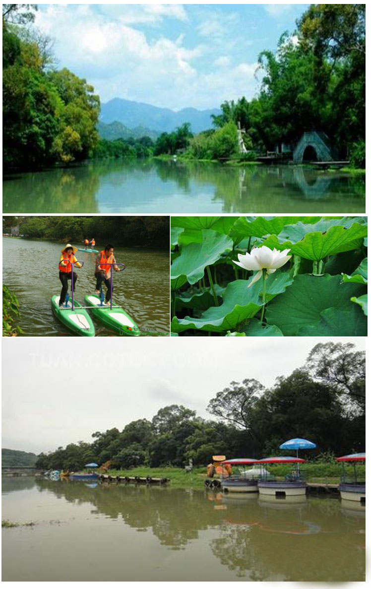 渝见好“村”光沙坪坝区大桥村：山水田园间的甜蜜驿站