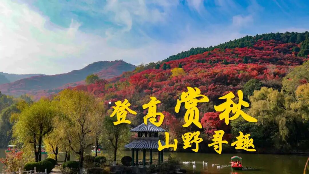 七大主题300余项活动2026济南金秋文旅嘉年华解锁浪漫秋日_泉城新闻_大众网(图2)